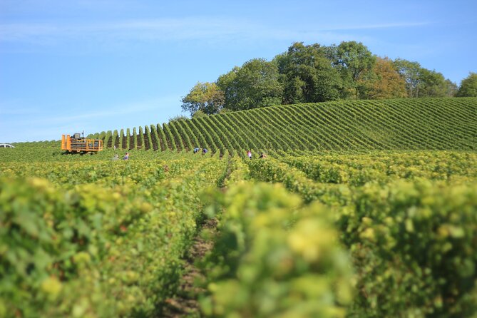 Full Rioja Wine Tour with Lunch from San Sebastian Private Tour - Key points to know before you go