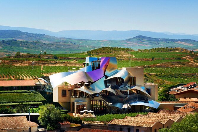 Full Rioja Wine Tour with Lunch from San Sebastian Private Tour - Stop 2 in Samaniego: cellar walk + a tasting with character