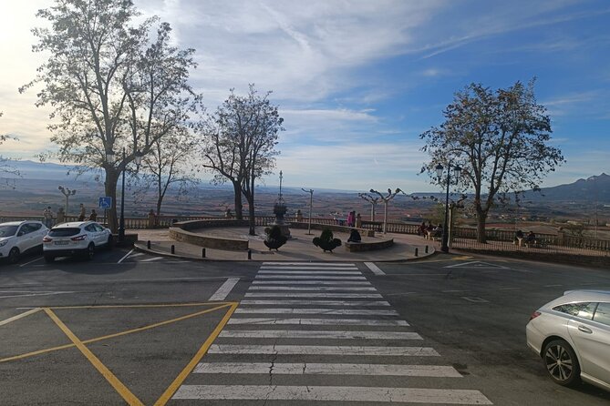 Full Rioja Wine Tour with Lunch from San Sebastian Private Tour - Laguardia’s medieval walls: history, views, and time to breathe
