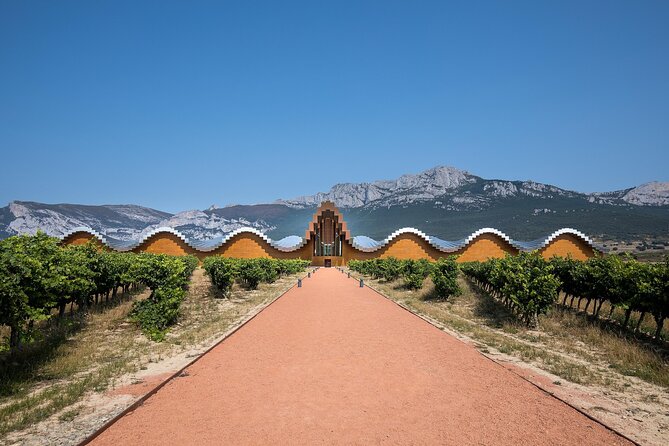 Full Rioja Wine Tour with Lunch from San Sebastian Private Tour - How many wines are you really tasting?