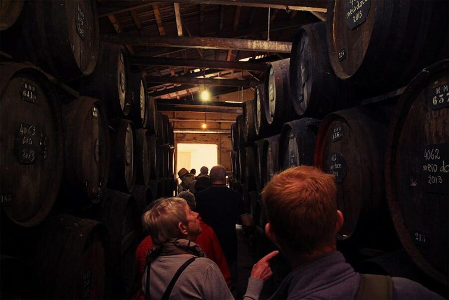 Funchal: H.M. Borges Winery Guided Tour with Wine Tasting - How This H.M. Borges Tour Feels in Real Life