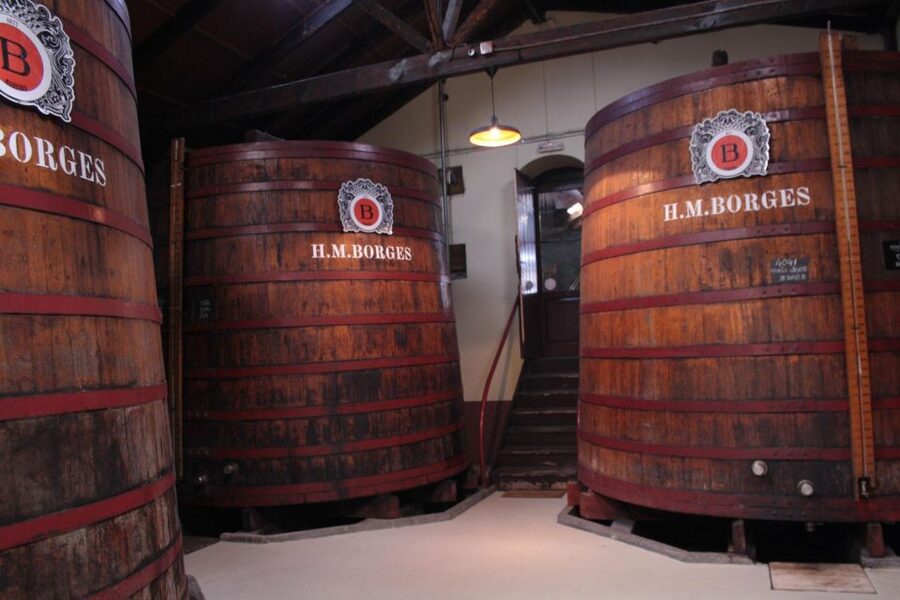 Funchal: H.M. Borges Winery Guided Tour with Wine Tasting - Staff, Atmosphere, and the Buying Moment (Without Pressure)