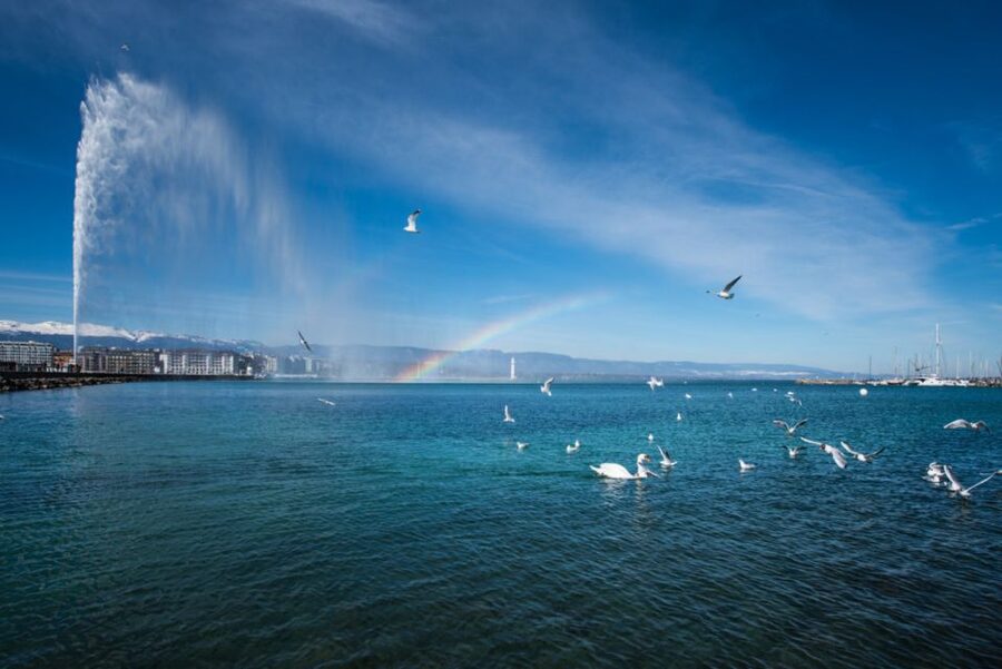 Geneva: Scenic Lake Cruise with Snacks and Wine - What the Boat Ride Feels Like: Quiet, Gentle, and Sometimes Choppy