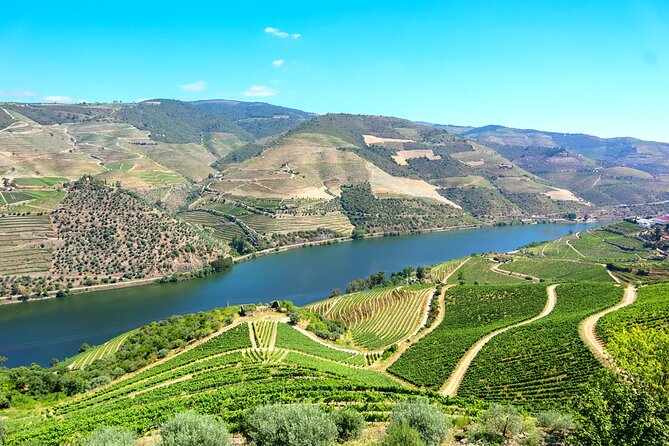 Genuine Douro Valley Tour: Visit 2 Wineries, Lunch & River Cruise - Pinhão and the 19th-Century Railway Station Tiles: Where Lunch Feels Local