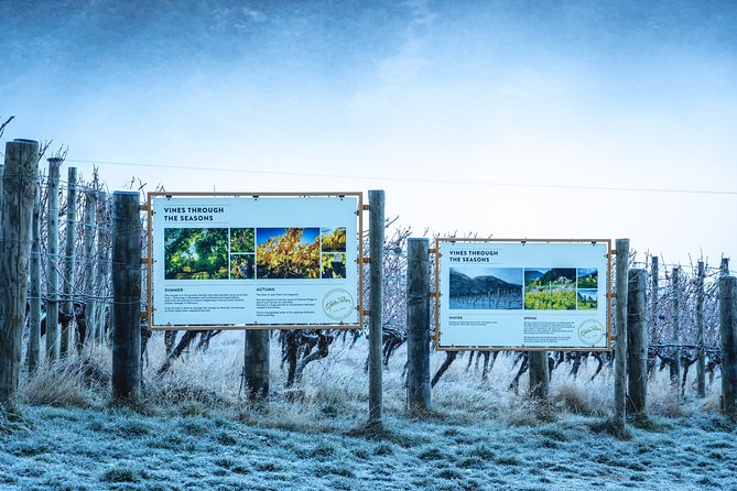 Gibbston Valley Wines - Winery Tour - A 45-minute Winery Tour That Fits Real Itineraries