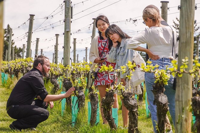Gibbston Valley Wines - Winery Tour - What You’ll See in the Vineyard, Winery, and Production Areas