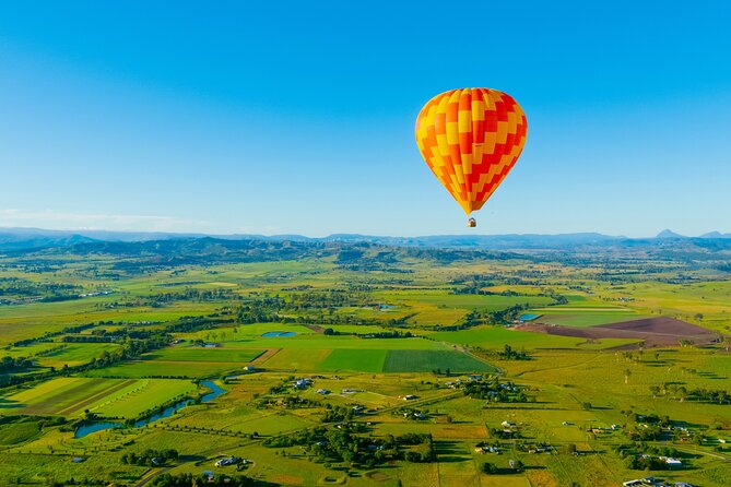 Gold Coast Hot Air Balloon + Winery Breakfast + Return Transfers - Cellar Door Wine Tasting: What You’re Really Paying For