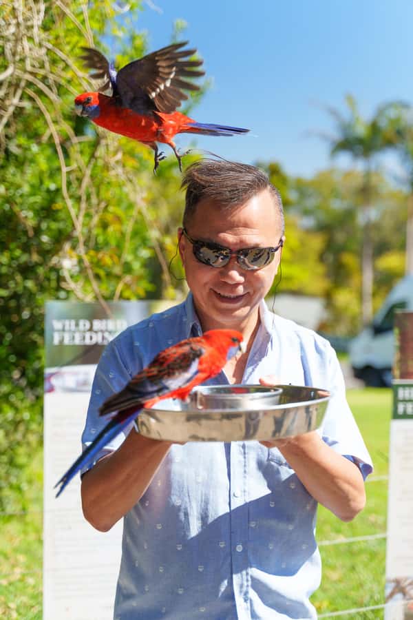 Gold Coast: Lamington Treetops, Wildlife and Vineyard Visit - Key points before you go