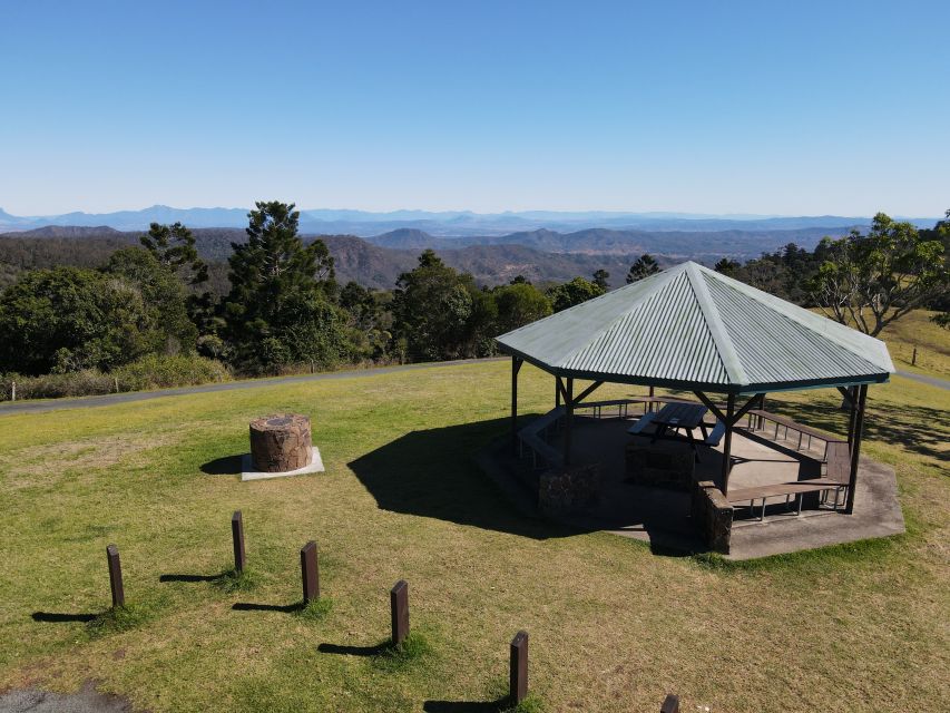 Gold Coast: Lamington Treetops, Wildlife and Vineyard Visit - Bird feeding at Lamington: King Parrots and Crimson Rosellas