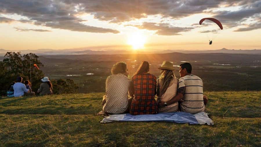 Gold Coast: Tamborine Mountain Local Winery Tour with Lunch - Hampton Estate lunch plus organic vineyard tasting