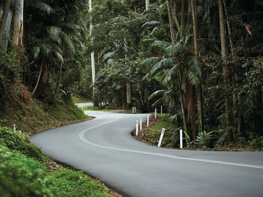Gold Coast: Tamborine Mountain Local Winery Tour with Lunch - What the 8 hours feel like: pacing, group size, and comfort