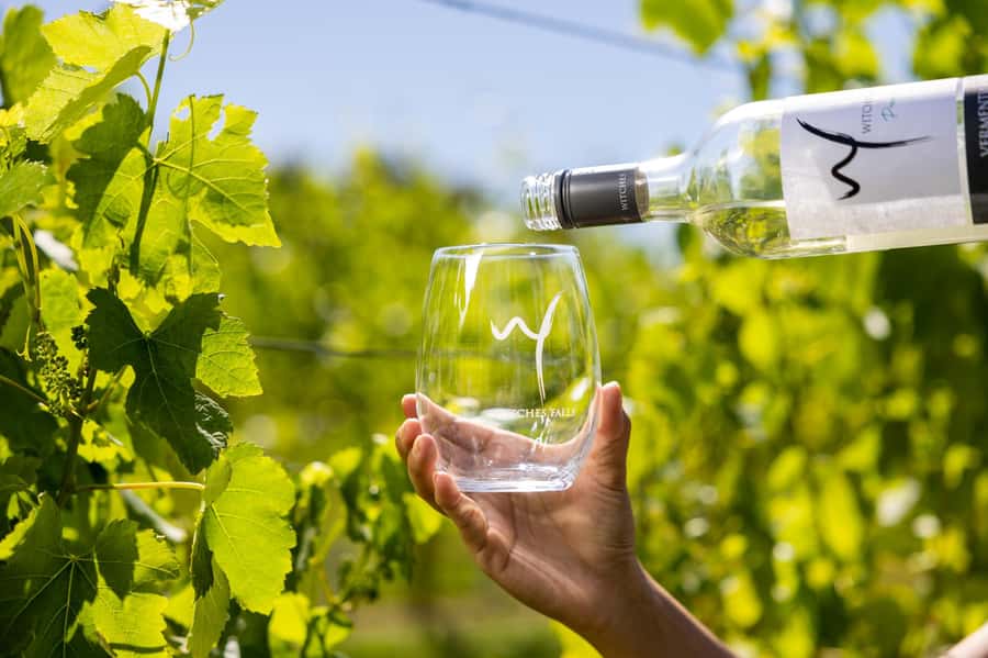 Gold Coast: Tamborine Mountain Local Winery Tour with Lunch - Should you book this tour?