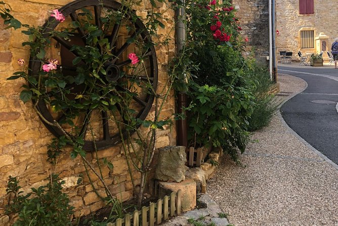 Golden stones Beaujolais Wine Tour with Tastings from Lyon - Why This Beaujolais Tour Feels Right at 2:00 pm