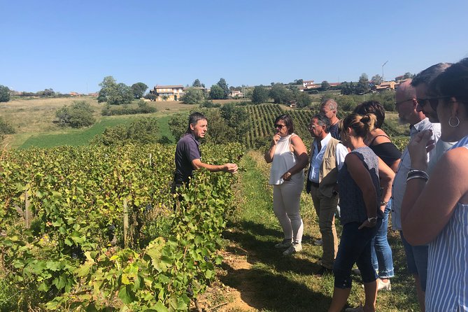 Golden stones Beaujolais Wine Tour with Tastings from Lyon - Getting to the Meeting Point: Smooth Start, Central Location