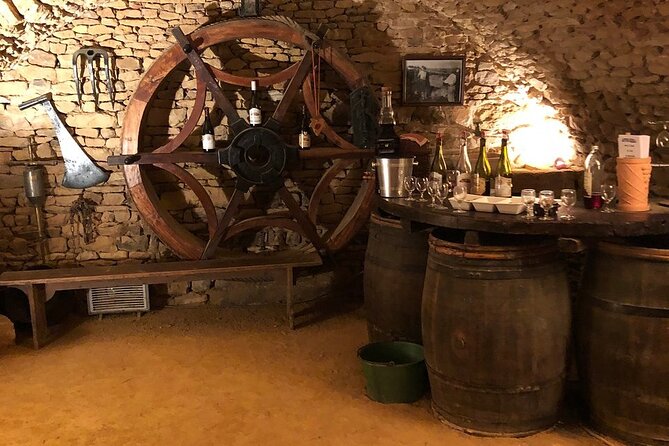 Golden stones Beaujolais Wine Tour with Tastings from Lyon - Stop 1 in Oingt: Medieval Streets and the Golden Stone Look