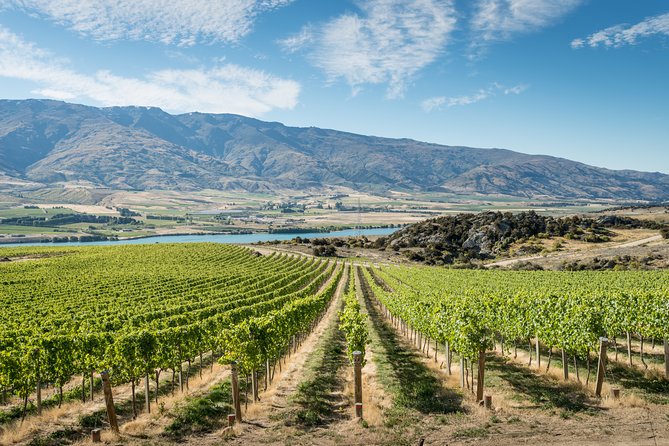 Gourmet Food and Wine Tour Queenstown All-Inclusive Tour - Quick hits before you go