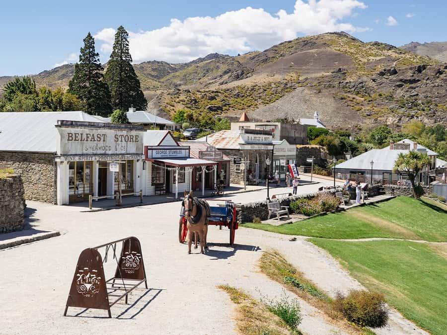 Gourmet Food and Wine Tour with Lunch and Wine Tastings - Should You Book It? My Decision Checklist