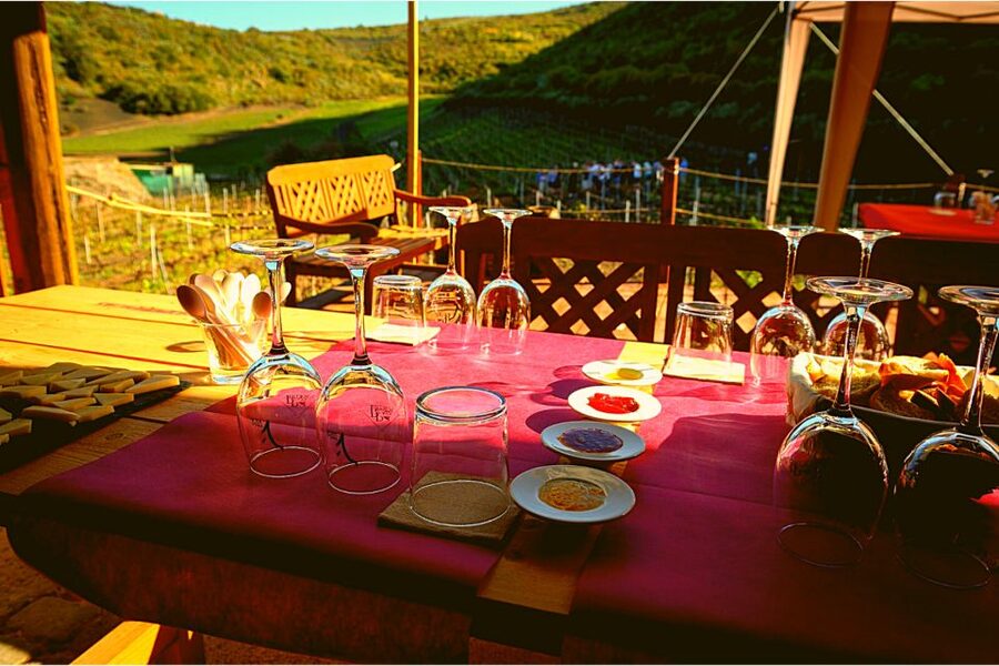 Gran Canaria: Best Wineries and Views Tour - What You’ll Taste (and How to Think About the Pairings)