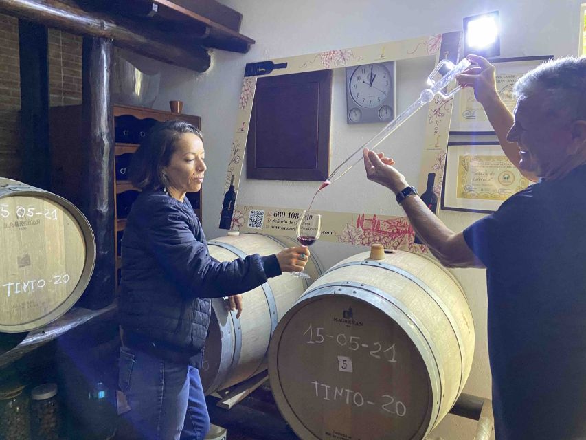 Gran Canaria: Best Wineries and Views Tour - Who This Tour Fits Best (and Who Should Skip It)
