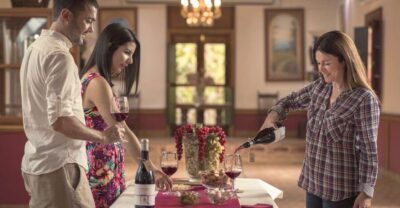 Gran Canaria: Winery Tour, Wine Museum, and Tasting - Vineyard Walk: Volcanic Soil, Endemic Grapes, and What Organic Work Looks Like