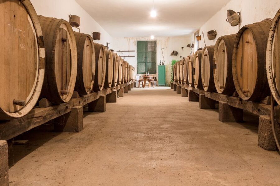 Gran Canaria: Winery Tour, Wine Museum, and Tasting - Stone Lagares and the 100-Year Connection to How Grapes Used to Be Tredden