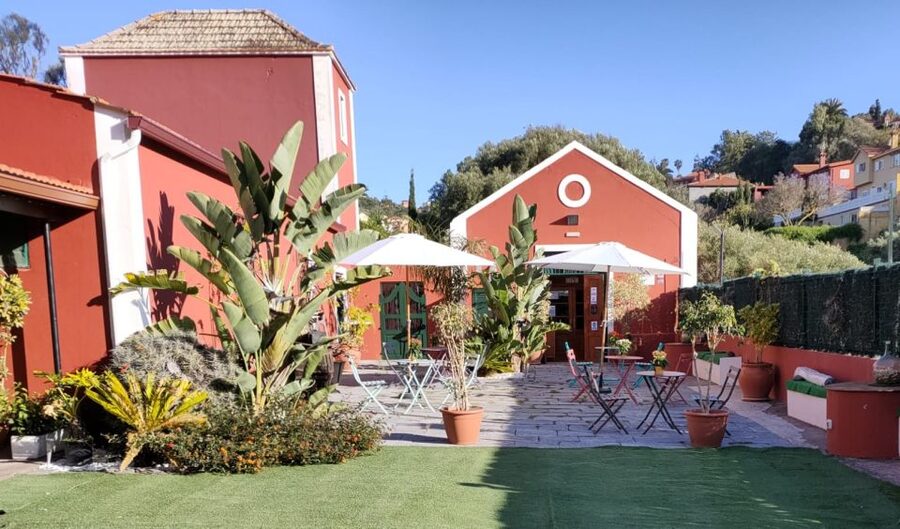 Gran Canaria: Winery Tour, Wine Museum, and Tasting - Modern vs. Old: Seeing How the Process Changed Without Losing the Plot