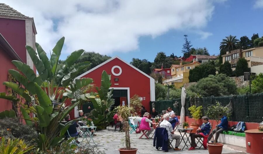 Gran Canaria: Winery Tour, Wine Museum, and Tasting - Who This Tour Is Best For (and Who Might Want Something Else)