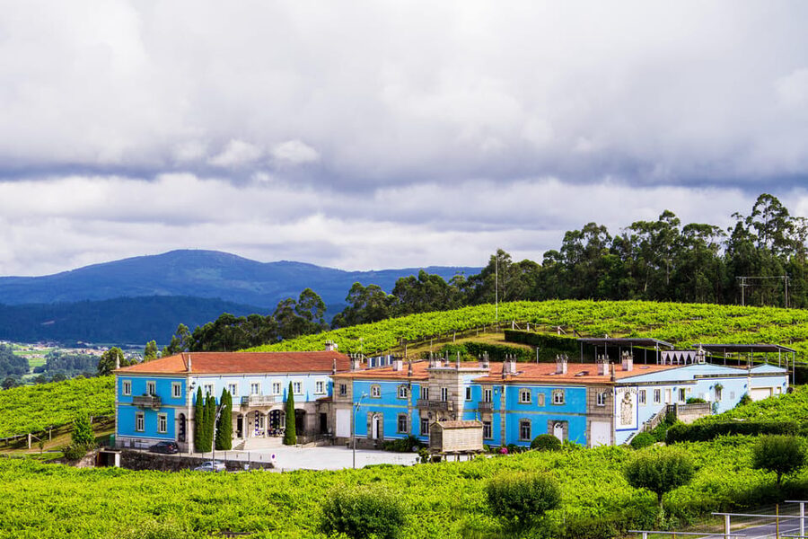 Granbazán Winery: Guided Tour and Wine Tasting - Key highlights at a glance
