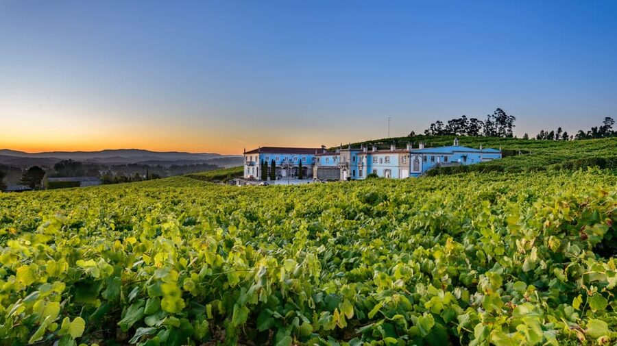 Granbazán Winery: Guided Tour and Wine Tasting - Granbazán in Rías Baixas: what you’re really paying for
