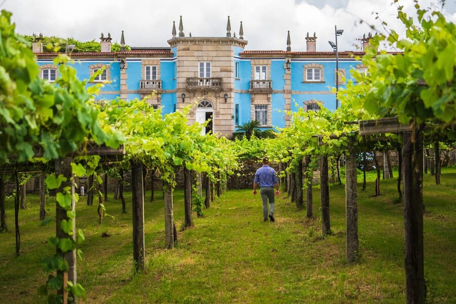 Granbazán Winery: Guided Tour and Wine Tasting - The vineyard walk: views plus real context