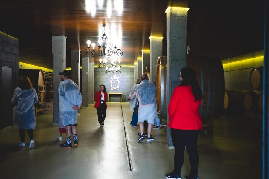 Granbazán Winery: Guided Tour and Wine Tasting - The tasting flow: 4 wines, paced for learning