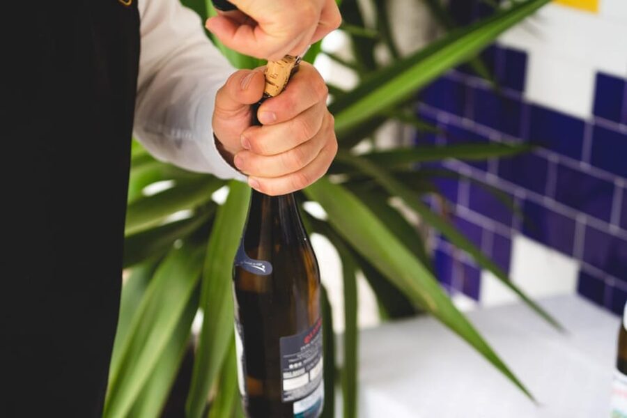 Granbazán Winery: Guided Tour and Wine Tasting - What the 75 minutes feels like in real life