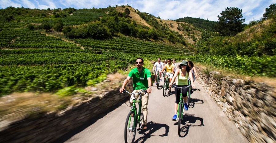 Grape Grazing: Wachau Valley Winery Biking Tour - Key highlights at a glance