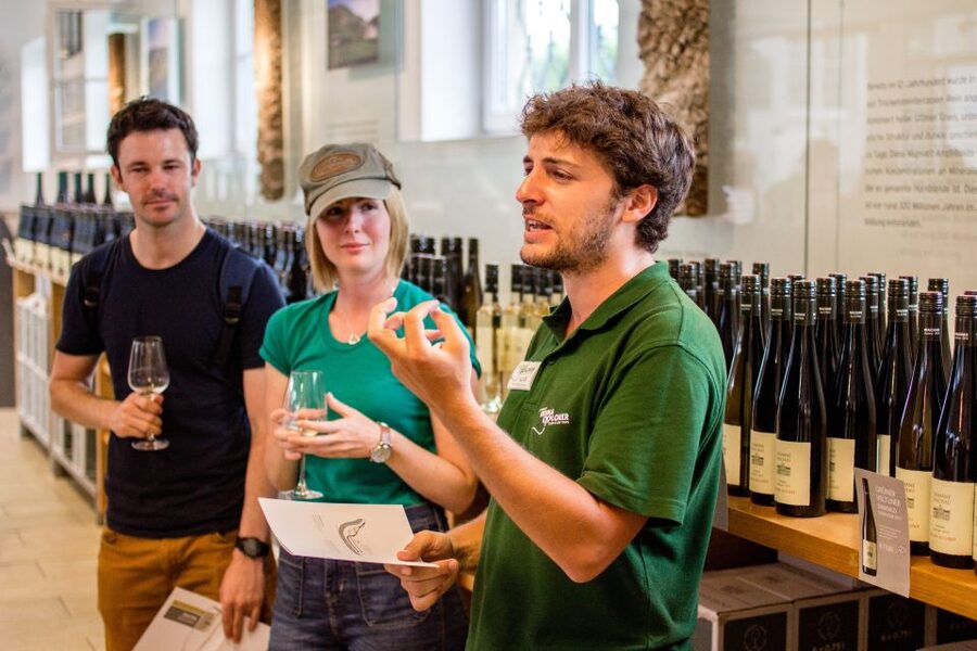 Grape Grazing: Wachau Valley Winery Biking Tour - What you actually taste: dry whites, apricot culture, and cellar conversations