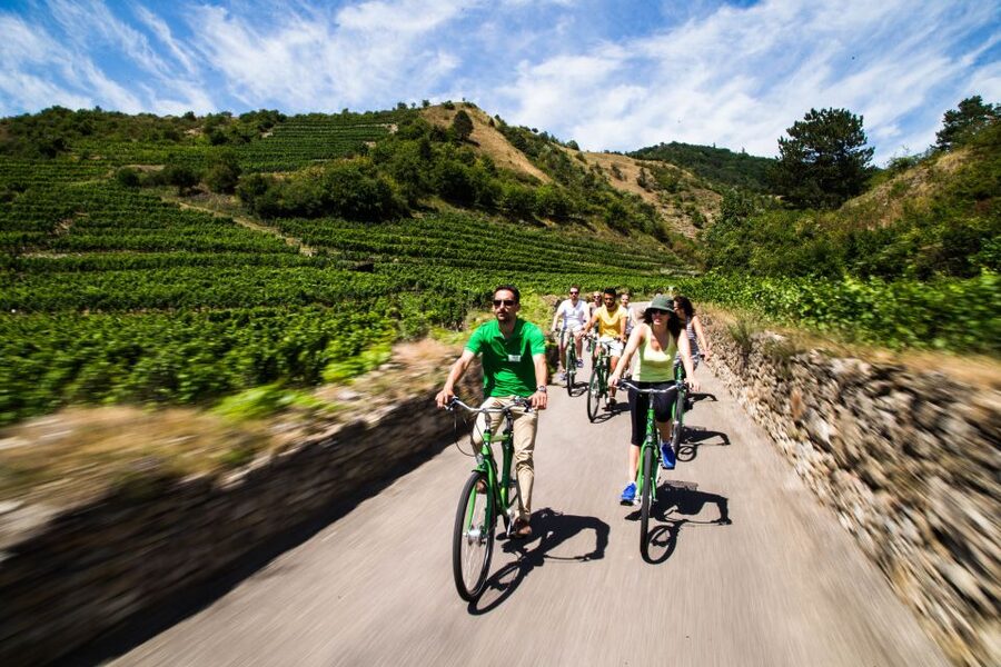 Grape Grazing: Wachau Valley Winery Biking Tour - Krems an der Donau cycling segment: warm up with river views, not hills