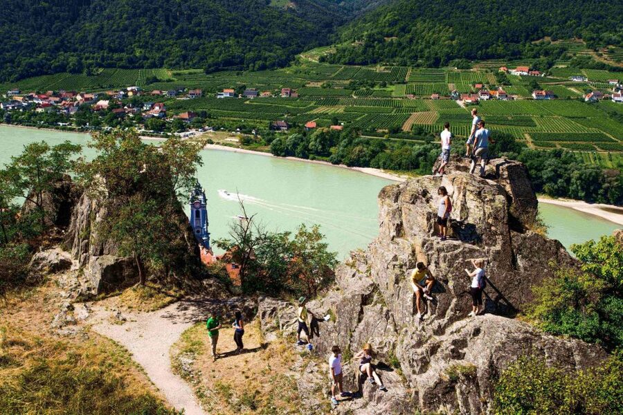 Grape Grazing: Wachau Valley Winery Biking Tour - Dürnstein wine tasting and free time: Richard the Lionheart makes it more than scenery