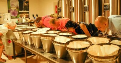 Grasse, Valbonne & Gourdon: Day Tour with Wine Tasting - Starting in the perfume capital: Grasse on the clock