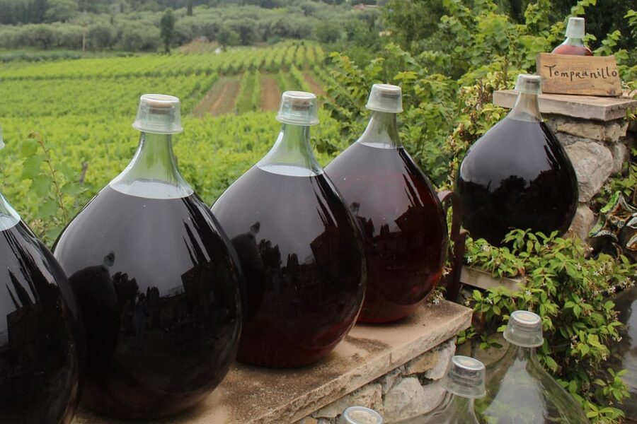 Grasse, Valbonne & Gourdon: Day Tour with Wine Tasting - Bellet wine tasting above Nice: the taste of the hills