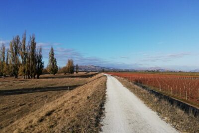 Great Escape Self-Guided Scenic Cycle Winery Tour from Napier - Ātea a Rangi Star Compass: a quick stop that lands