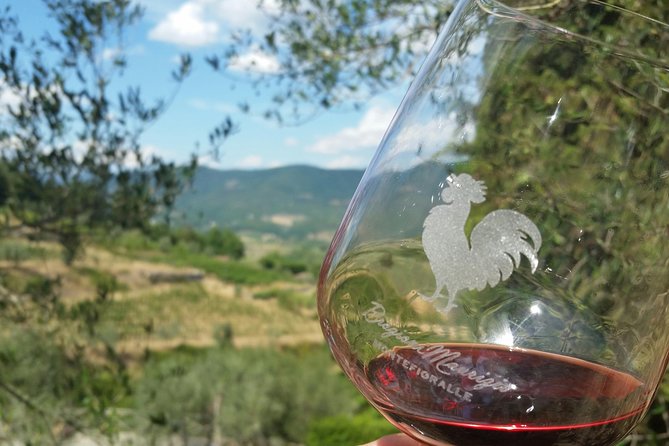 Greve in Chianti Wine Tasting and Winery Tour - Key highlights you’ll care about