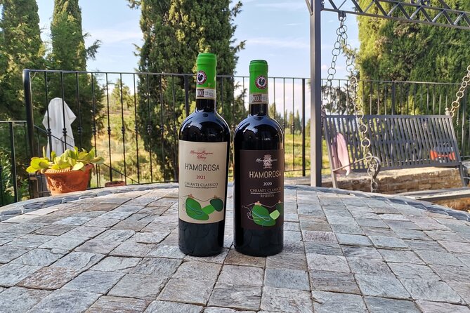 Greve in Chianti Wine Tasting and Winery Tour - A family-run winery stop in Greve: what this experience is really like
