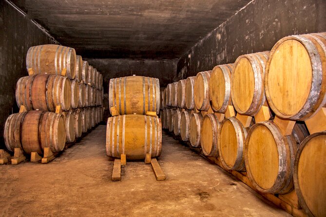 Group Tour: Hin Areni Winery, Tatev (wayback on Ropeway), Khndzoresk Caves - Wings of Tatev Ropeway: 5.7 km overhead and about 11 minutes of wow
