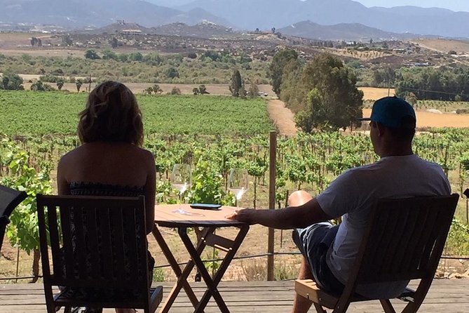 Guadalupe Valley Wine Route Tour in Baja California - The gourmet restaurant stop: planning lunch without getting stuck