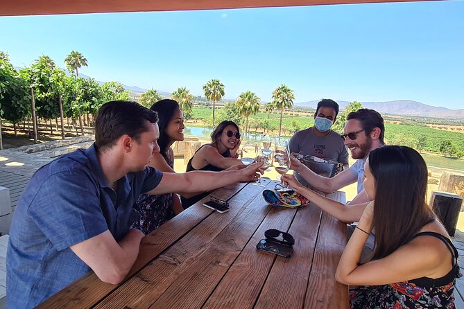 Guadalupe Wine Valley Tour - Price and what you really get for $320 (up to 4 people)