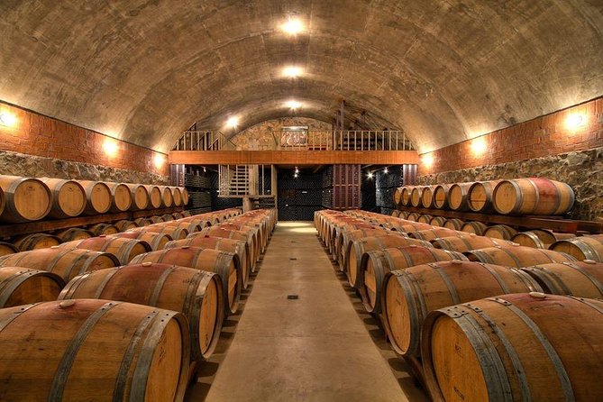 Guadalupe Wine Valley Tour - Guides and drivers: the human part that makes the schedule work