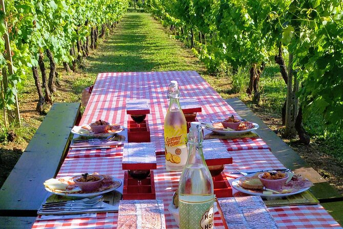 Guided E-Bike Tour with Wine Tasting from Lucca - Key highlights at a glance