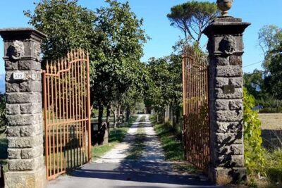 Guided E-Bike Tour with Wine Tasting from Lucca - From wall to countryside: the quiet change of scenery
