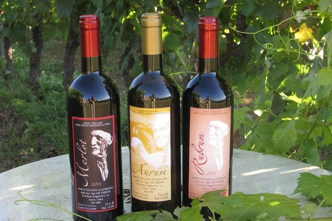 Guided E-Bike Tour with Wine Tasting from Lucca - Should you book this Lucca e-bike and wine tasting tour?