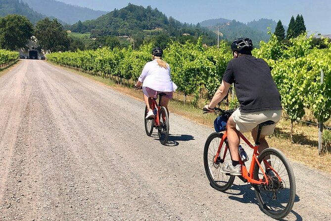 Guided Healdsburg Wine Country Bike and Wine Tasting Tour with lunch - Key highlights worth planning for