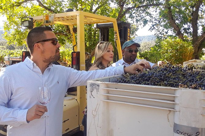 Guided Healdsburg Wine Country Bike and Wine Tasting Tour with lunch - E-bikes, helmets, and the stuff that makes or breaks the day